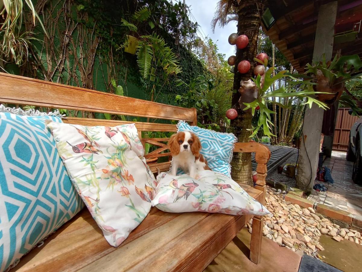 Pousada Zaua Guest House Florianópolis Zewnętrze zdjęcie