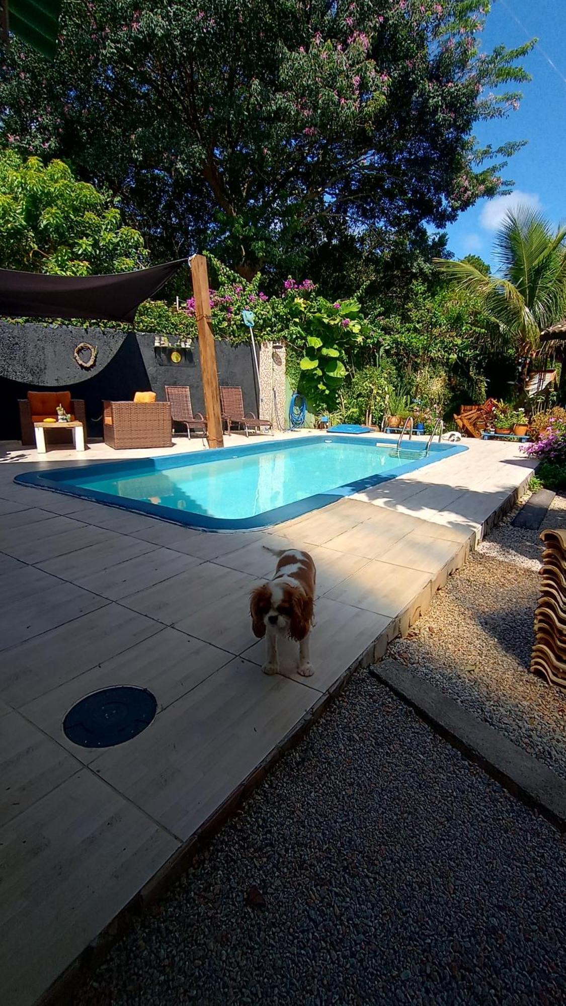 Pousada Zaua Guest House Florianópolis Zewnętrze zdjęcie