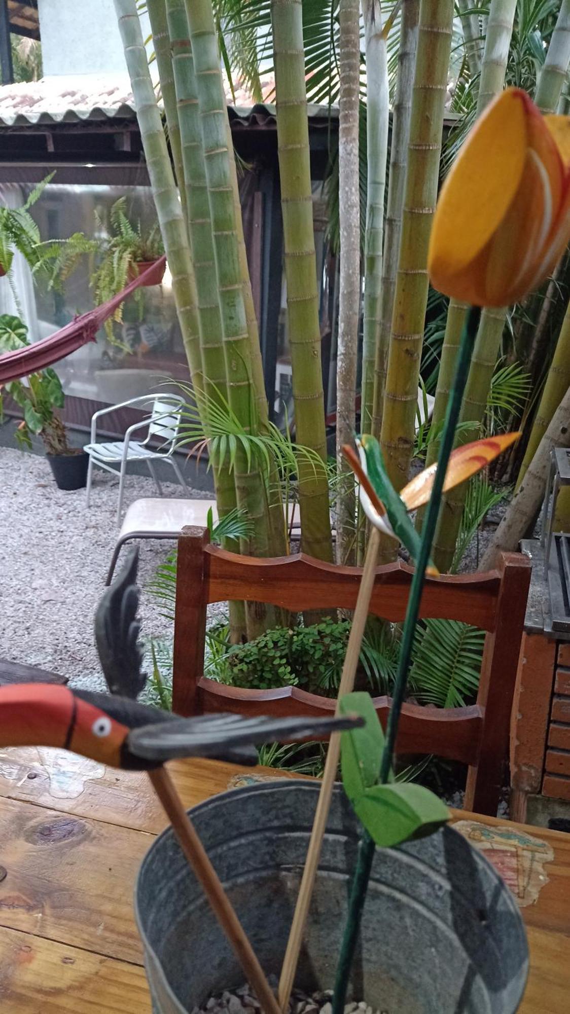 Pousada Zaua Guest House Florianópolis Zewnętrze zdjęcie